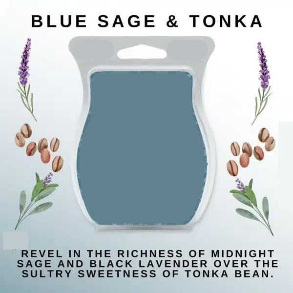 Blue Sage & Tonka (Scent-C) Fragrance Oil