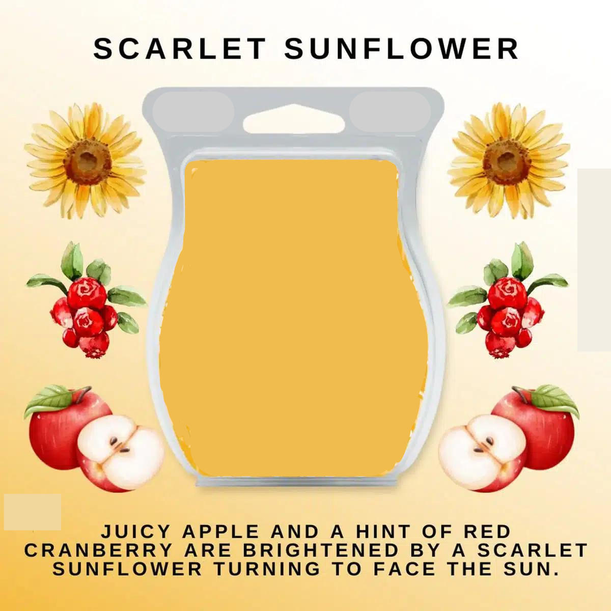 Scarlet Sunflower Fragrance Oil