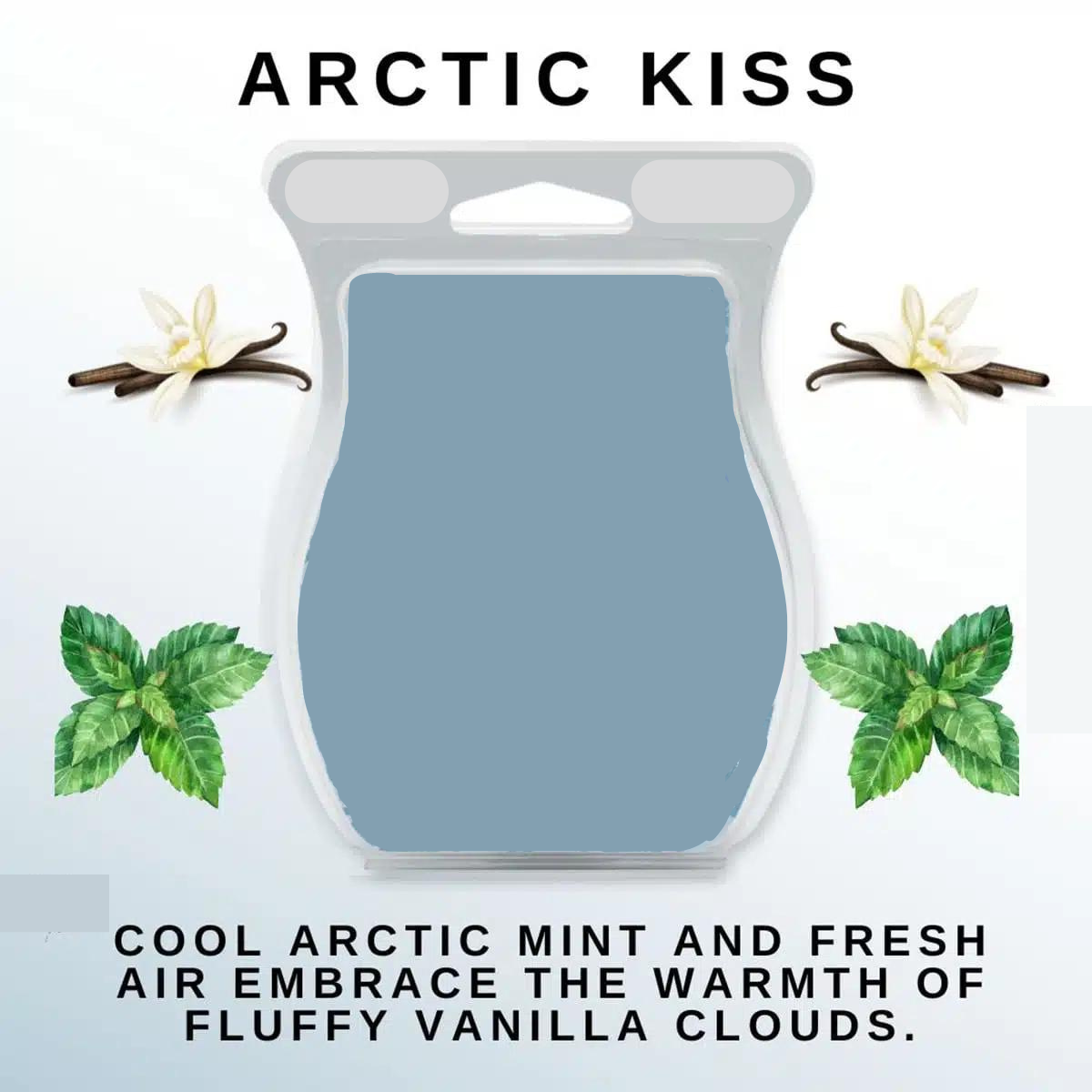 Arctic Kiss Fragrance Oil